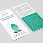 vignette-declaration